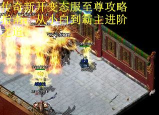 传奇新开变态服至尊攻略指南：从小白到霸主进阶之道